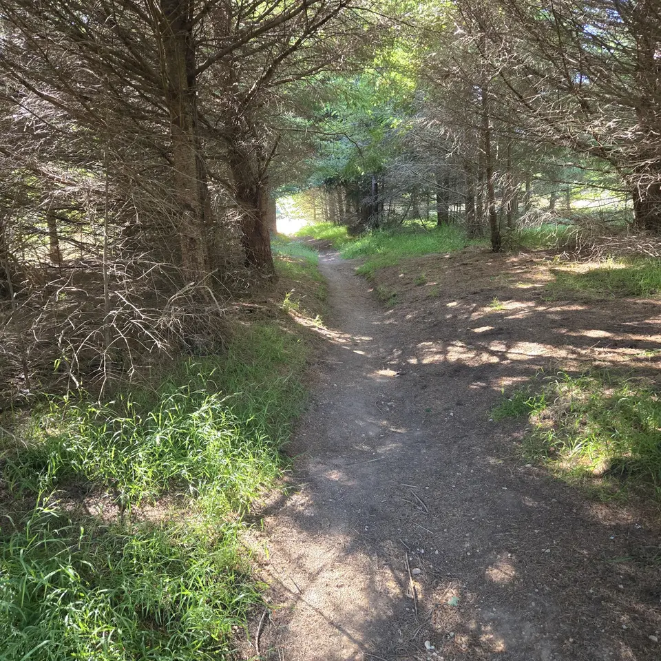Pt Reyes National Seashore