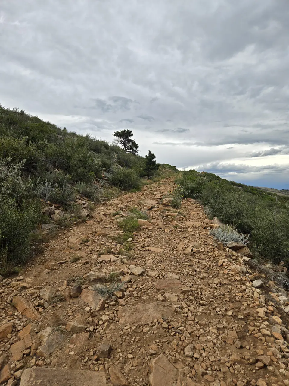 Rim Rock Open Space