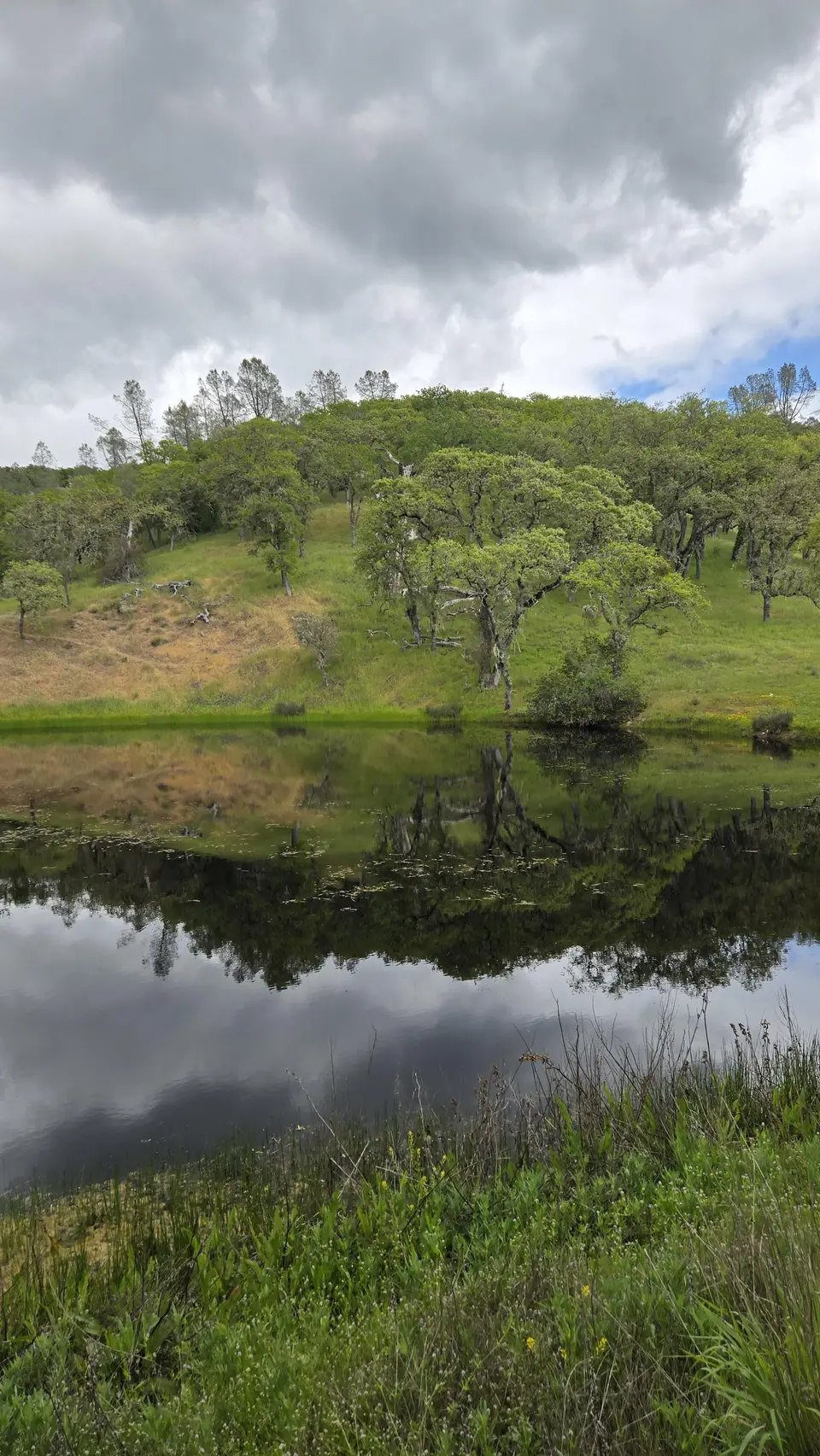 Rodeo Pond
