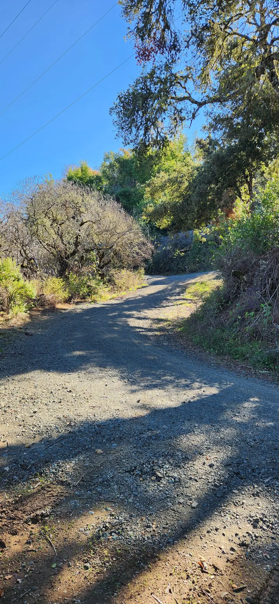 Russian Ridge