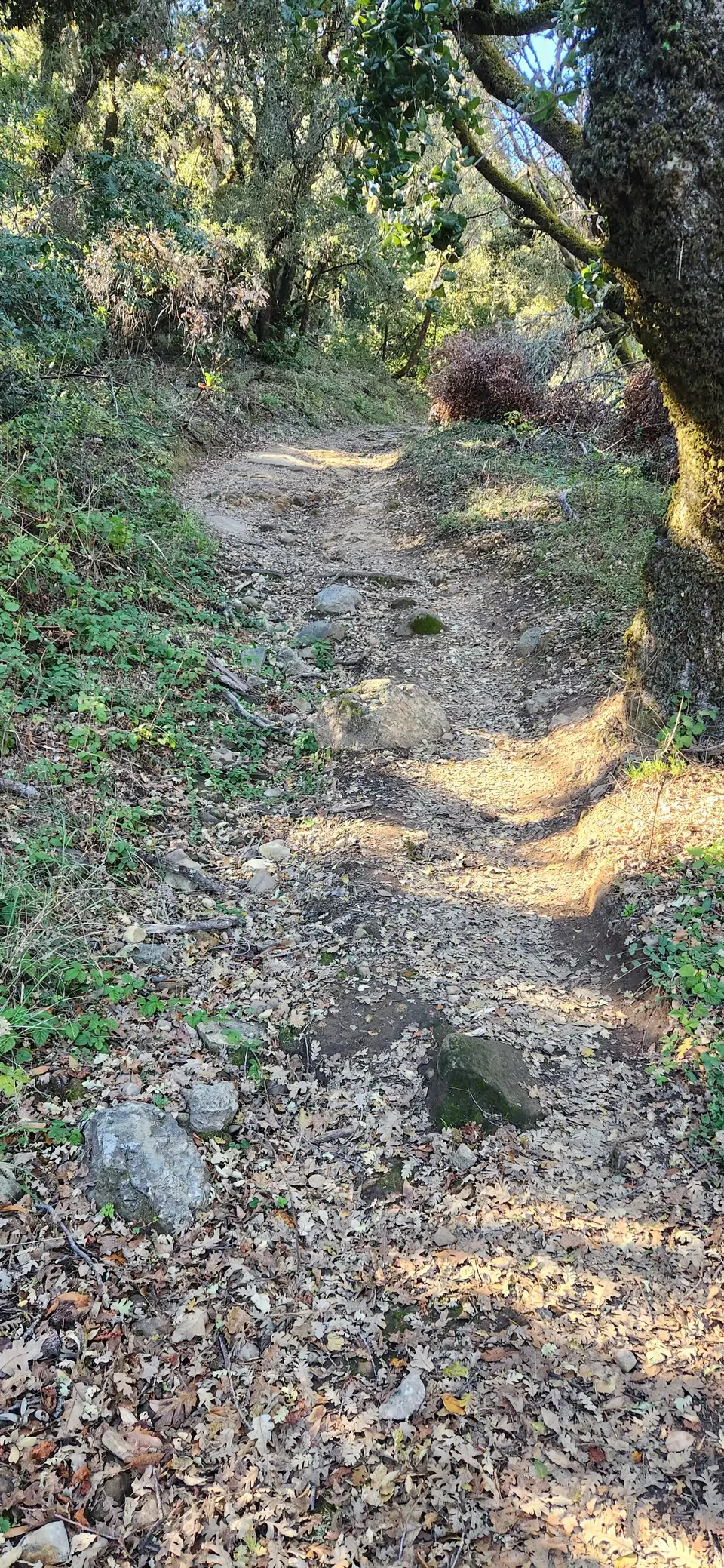 Russian Ridge