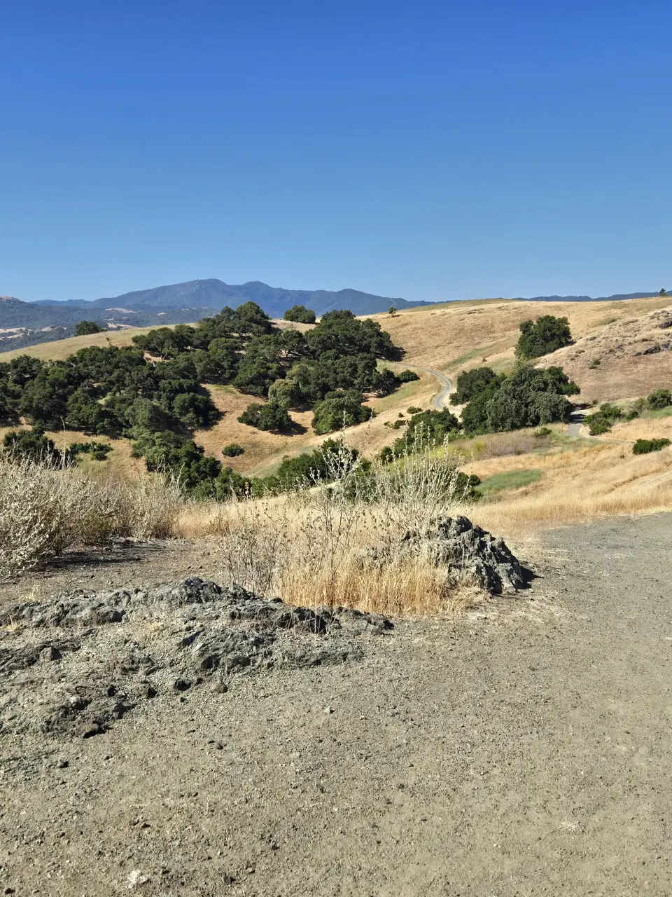 Santa Teresa County Park