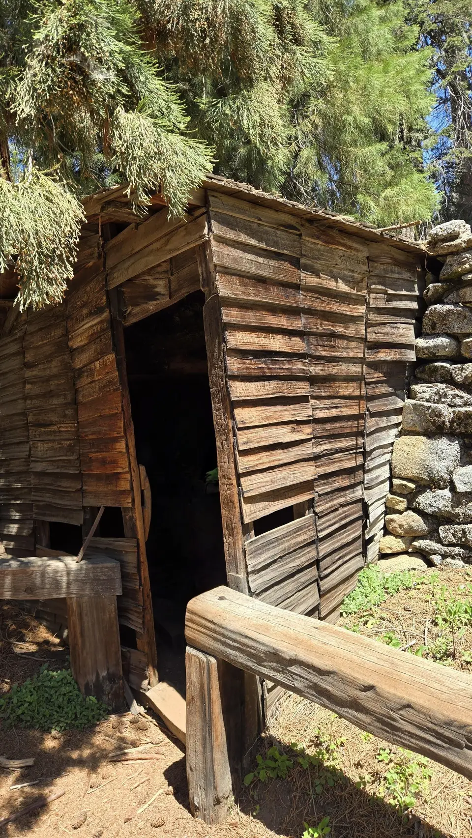 Tharp's Log