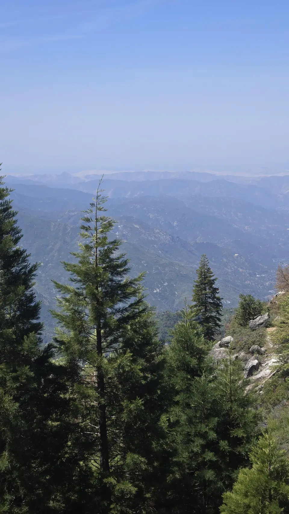 Eagle View