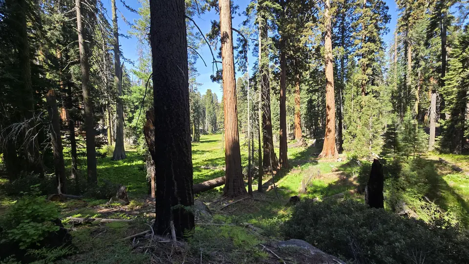 Circle Meadow Loop