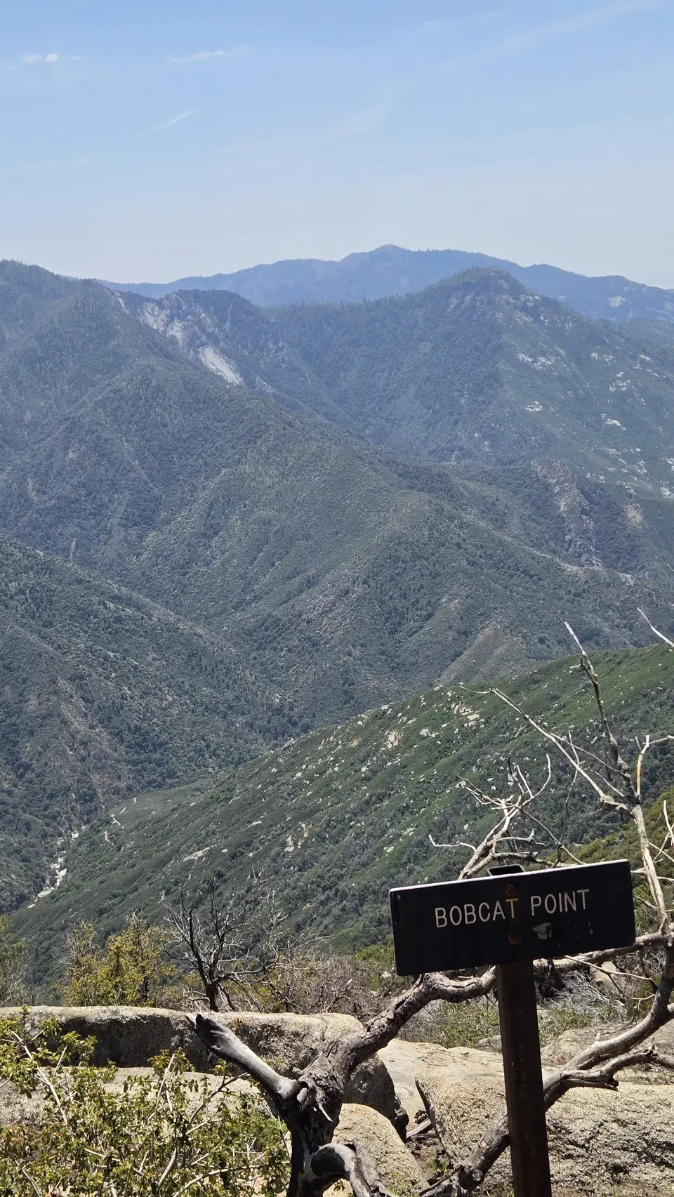 Bobcat Point