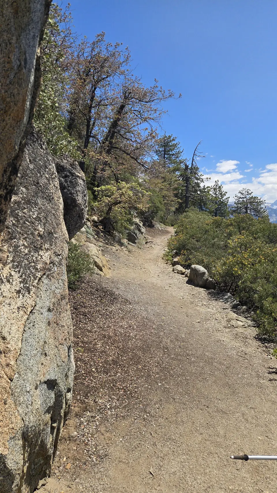 Eagle View