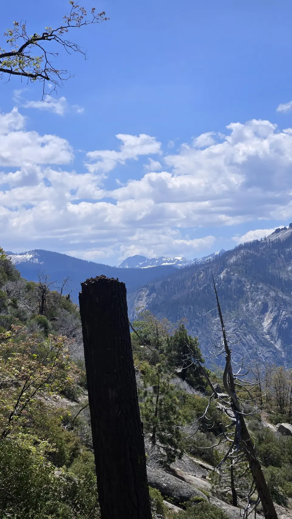 Eagle View
