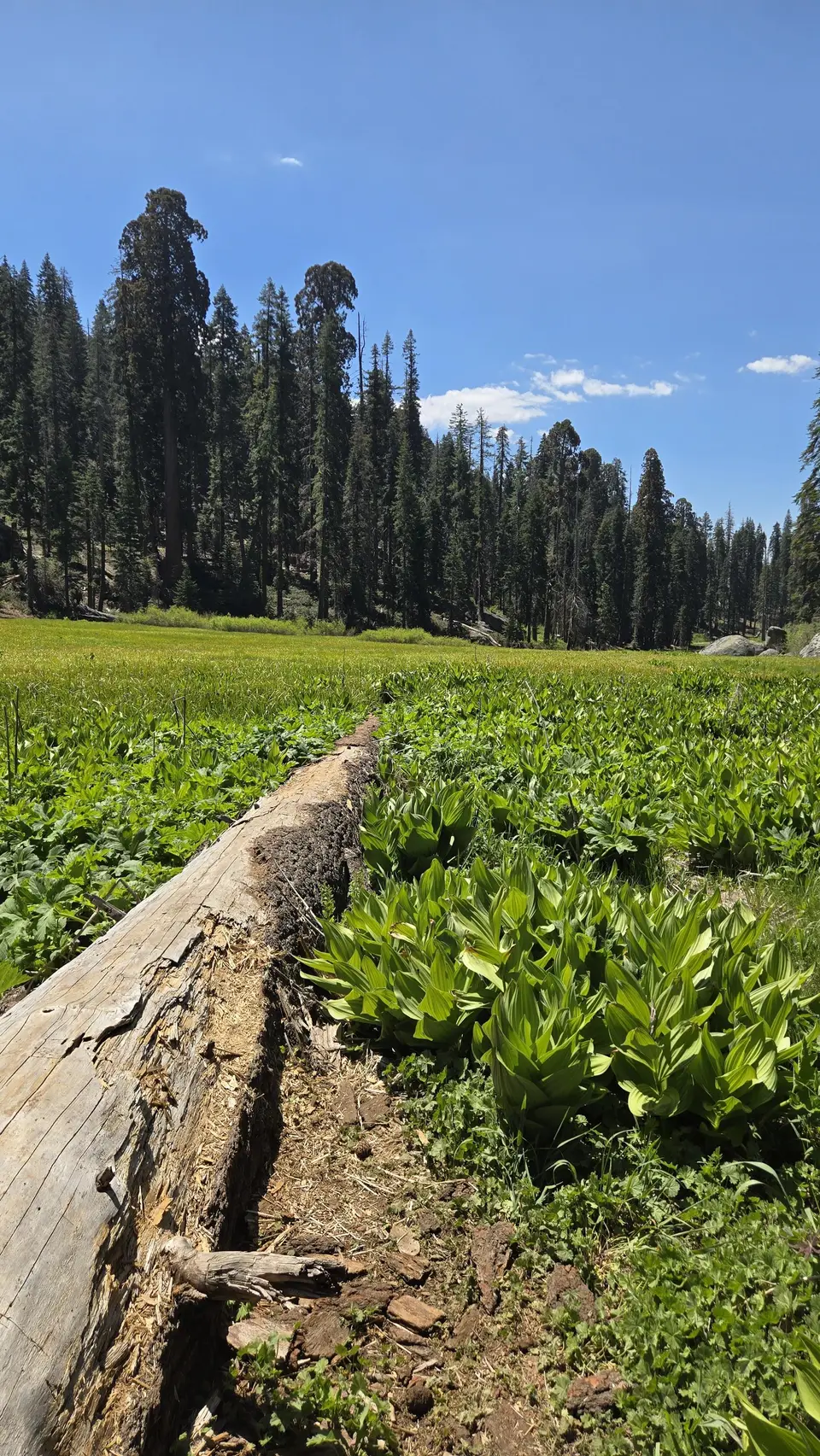 Crescent Meadow Loop