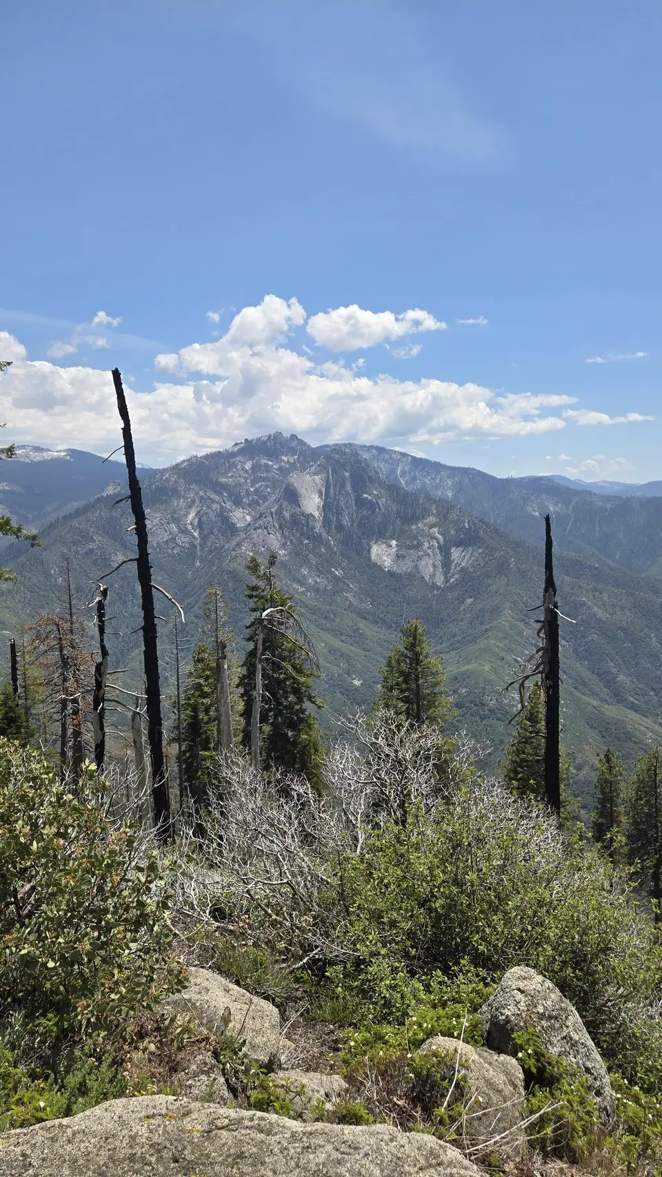 Bobcat Point