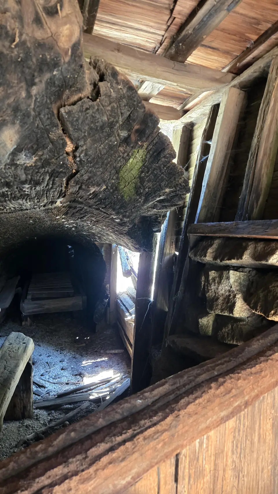 Tharp's Log