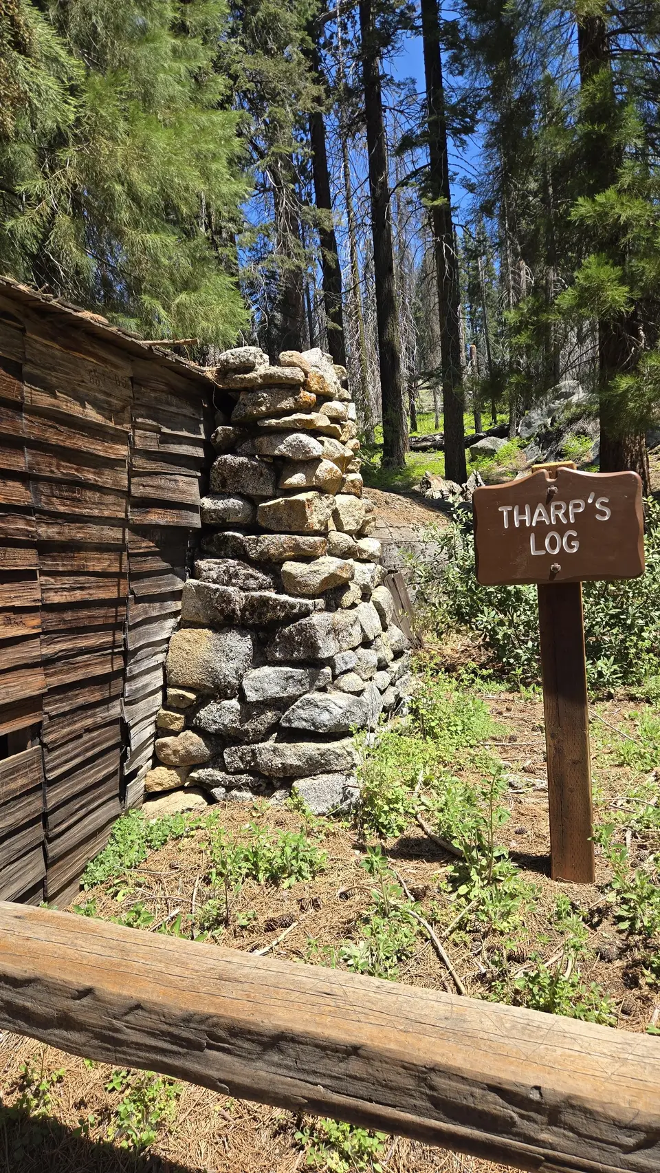 Tharp's Log