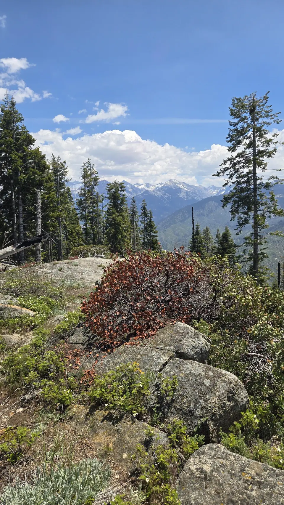 Bobcat Point