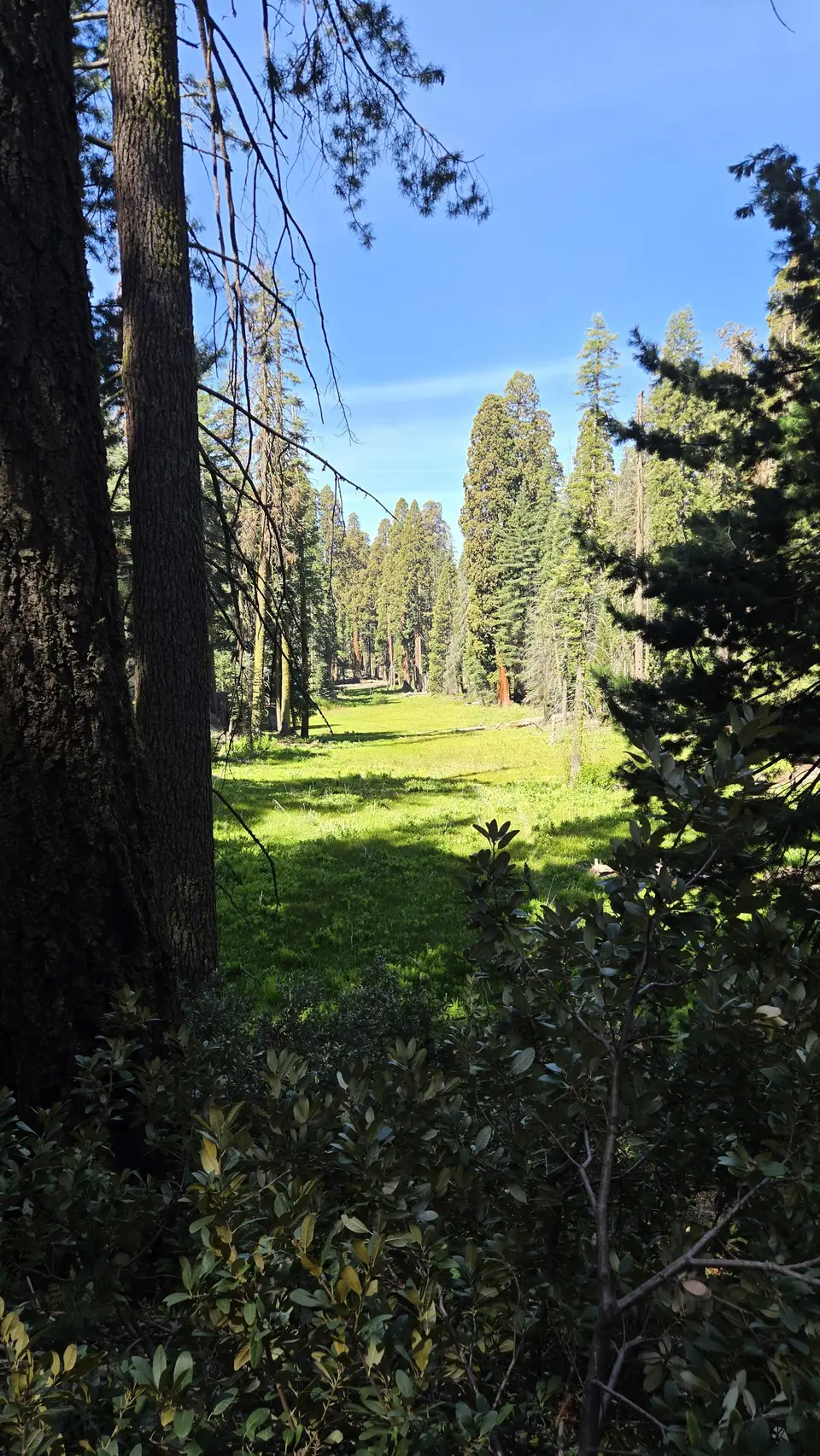 Circle Meadow Loop
