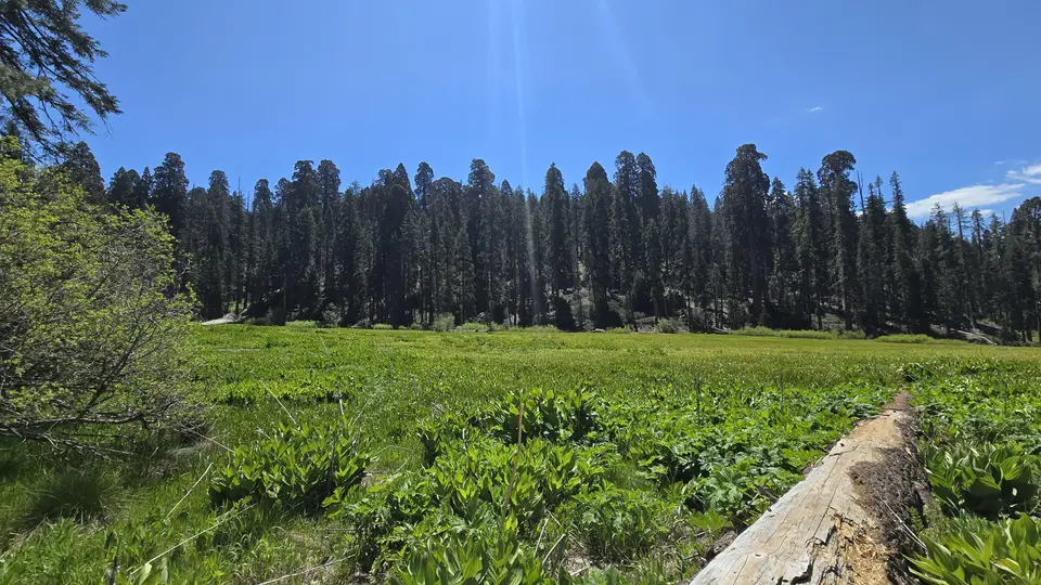 Crescent Meadow Loop