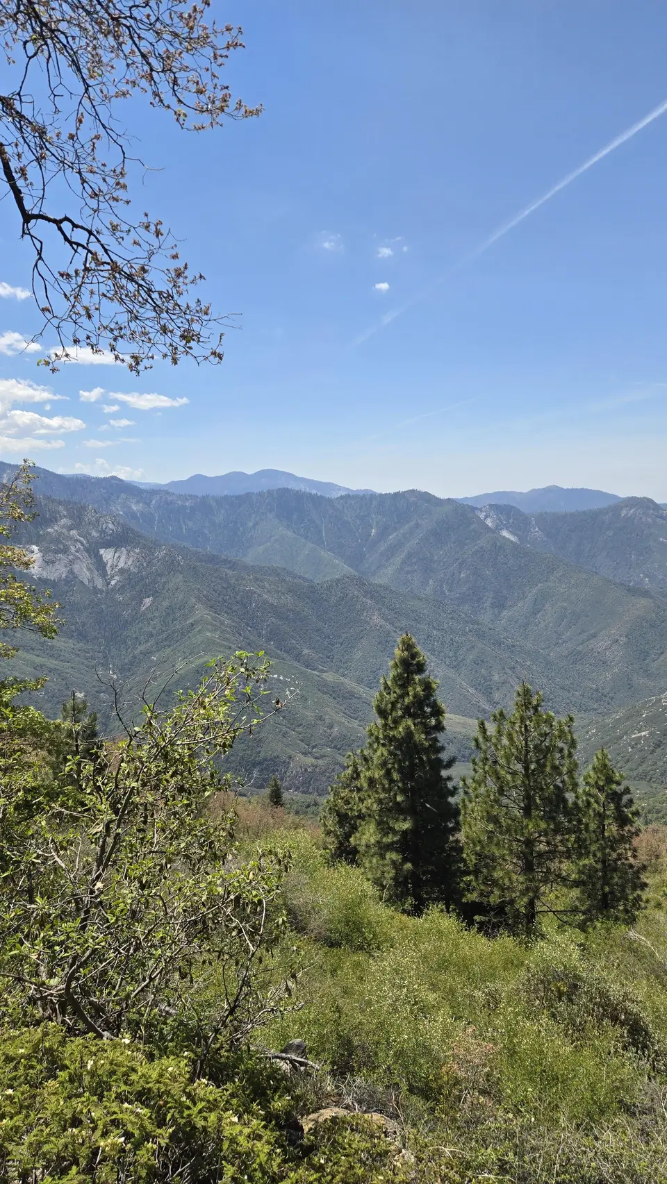 Eagle View