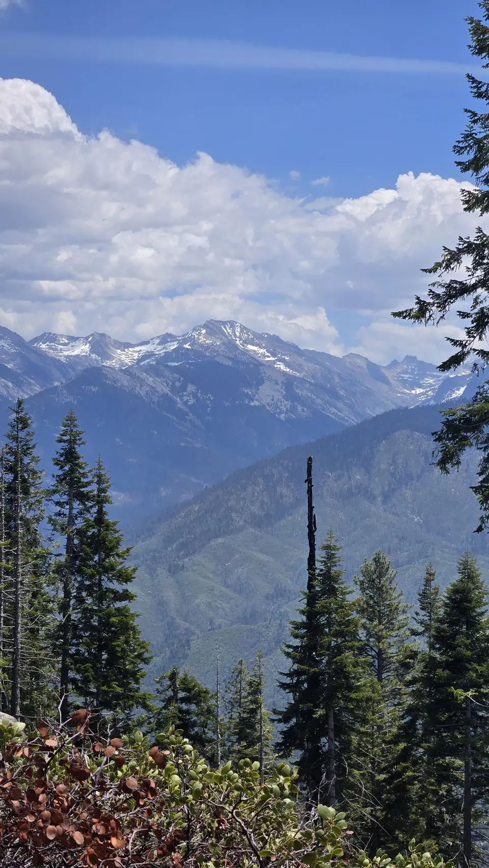Bobcat Point