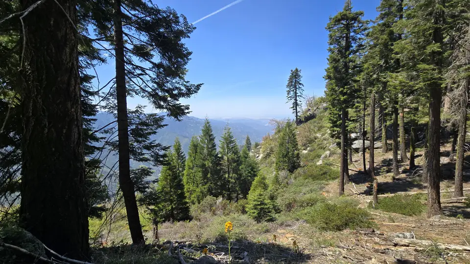 Eagle View