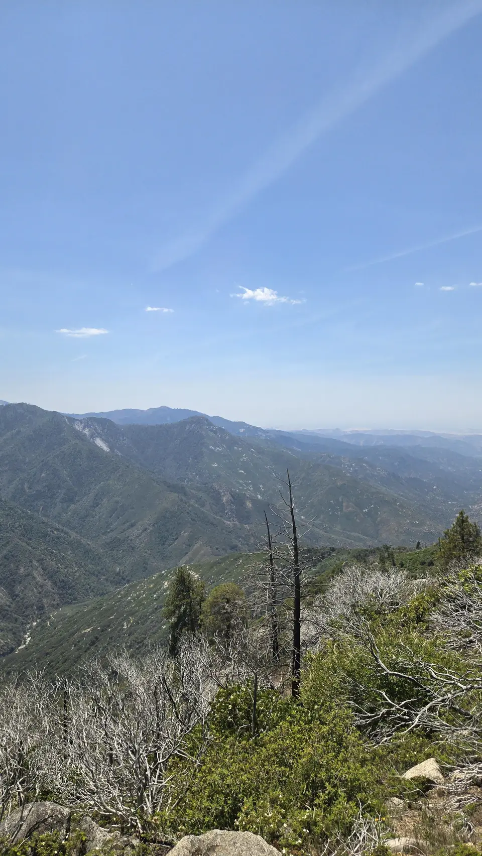 Bobcat Point