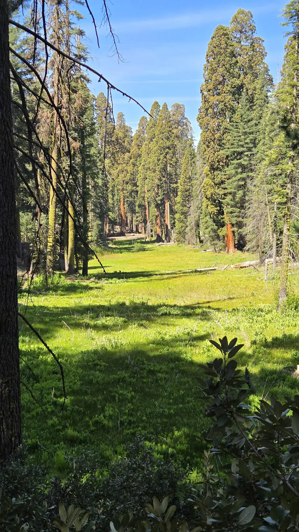 Circle Meadow Loop