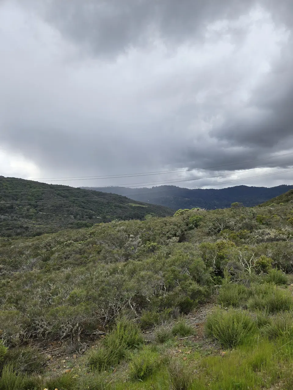 Limekiln Trail
