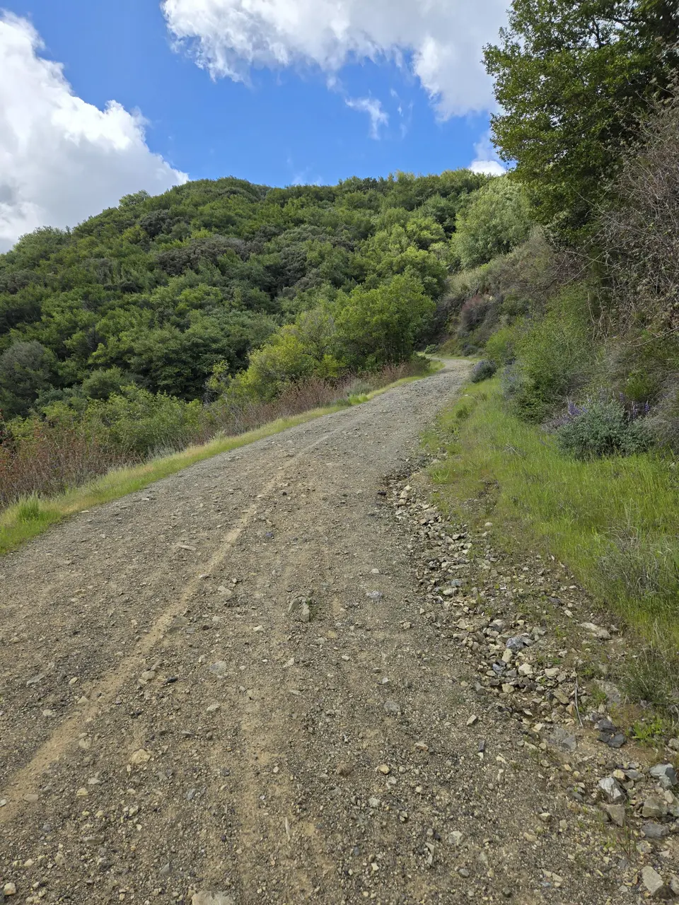 Kennedy Trail