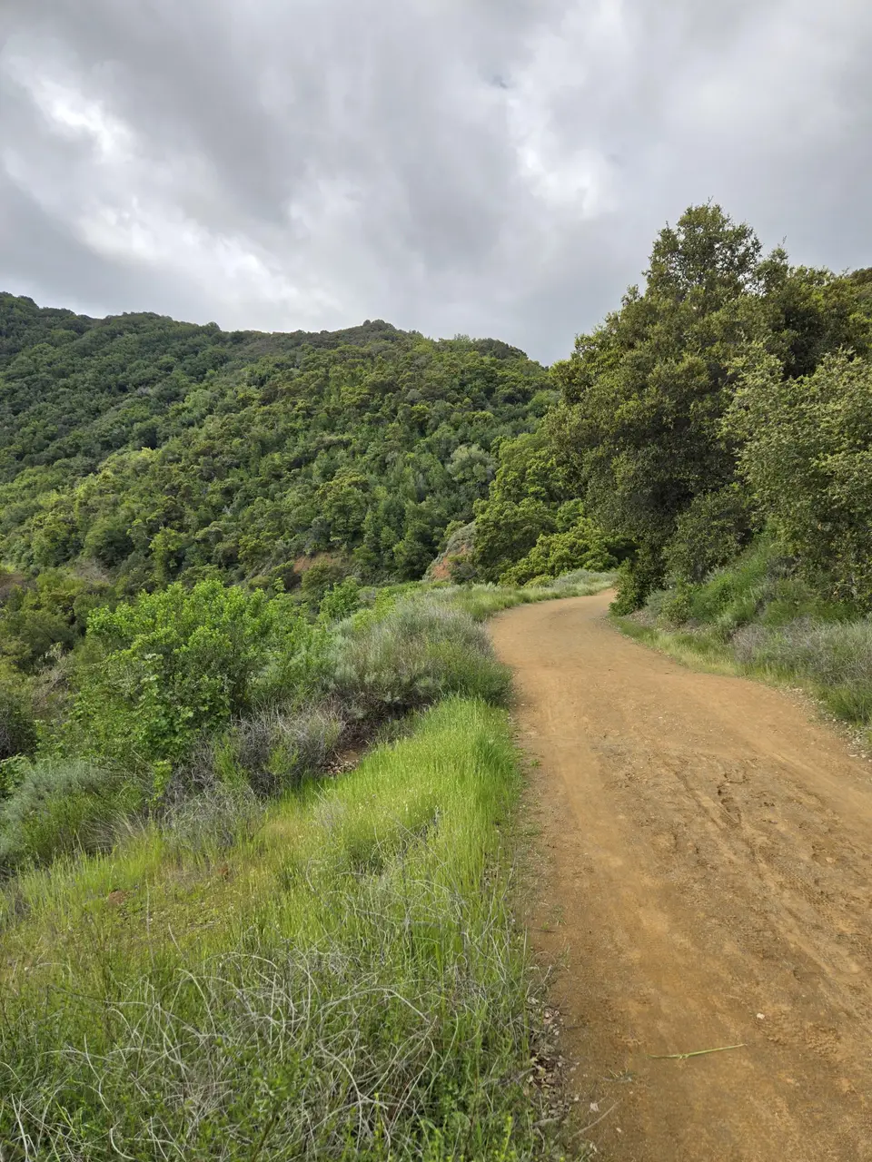 Kennedy Trail