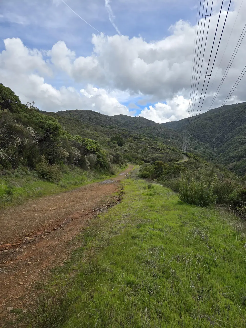 Limekiln Trail
