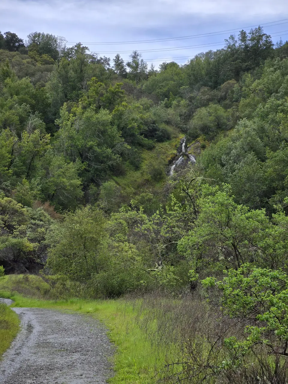 Limekiln Trail