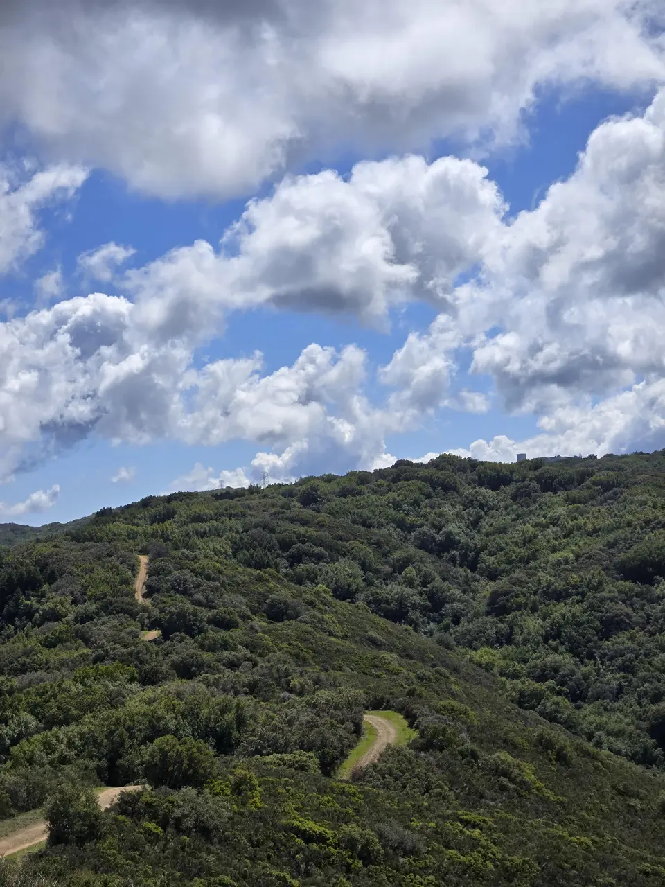 Kennedy Trail