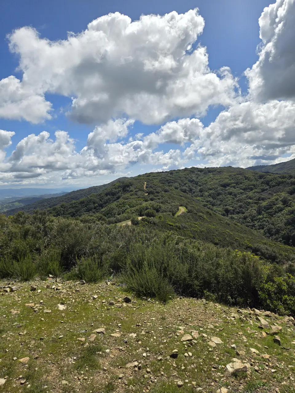 Kennedy Trail