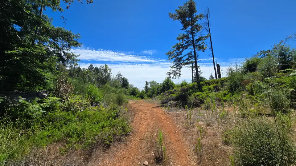 Monte Rio Redwoods Park