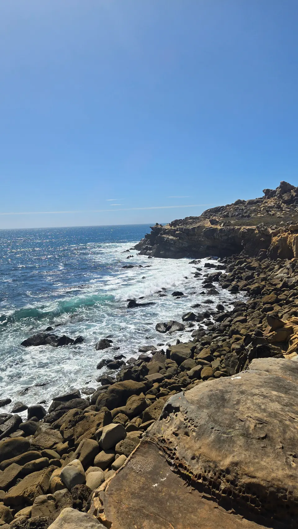 Salt Point State Park