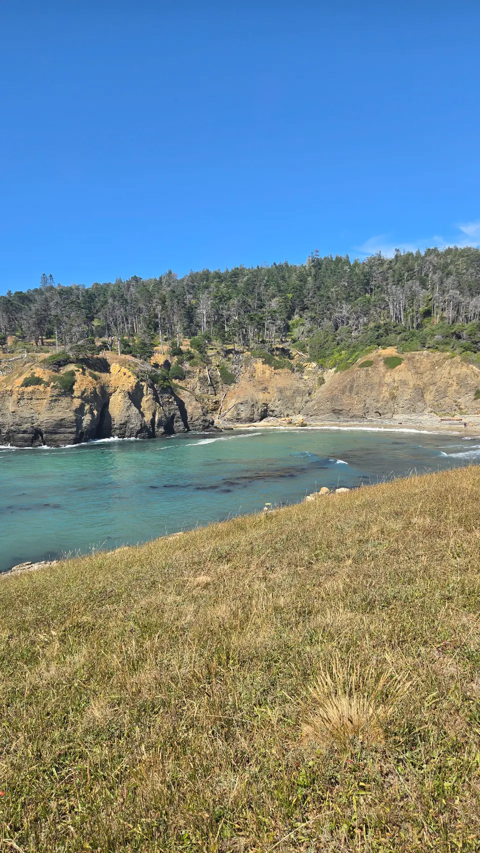 Salt Point State Park