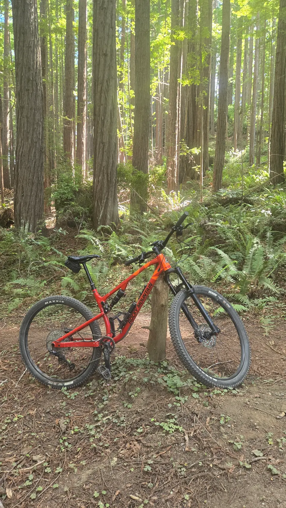Jackson Demo State Forest