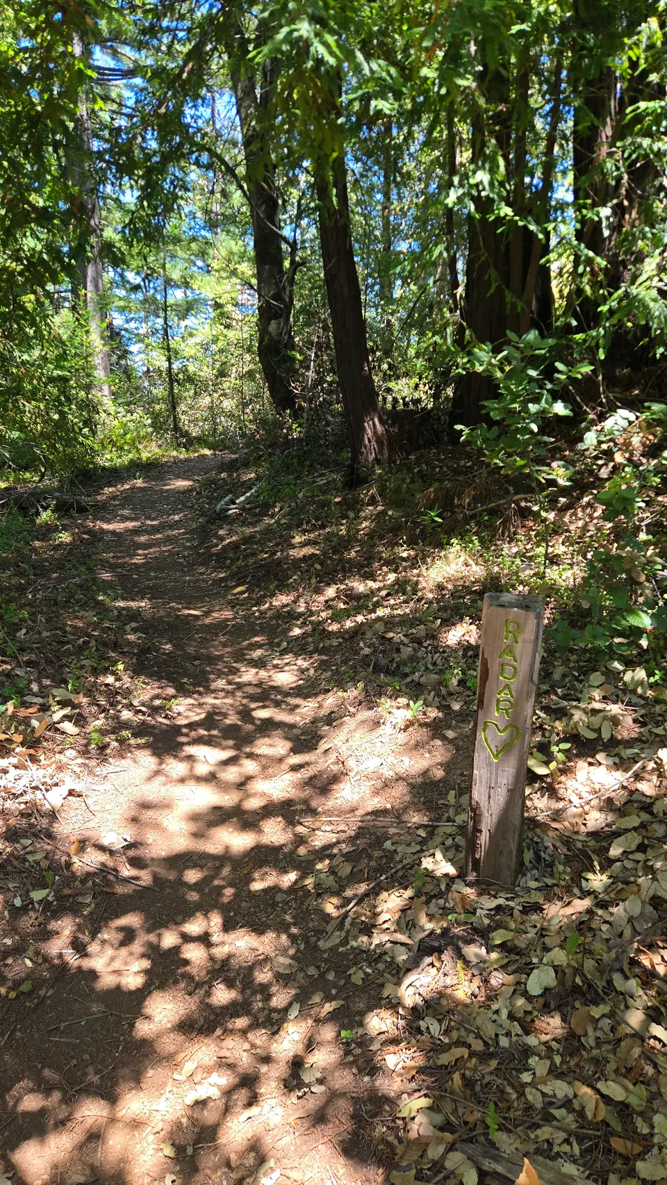 Monte Rio Redwoods Park