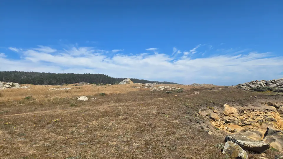 Salt Point State Park