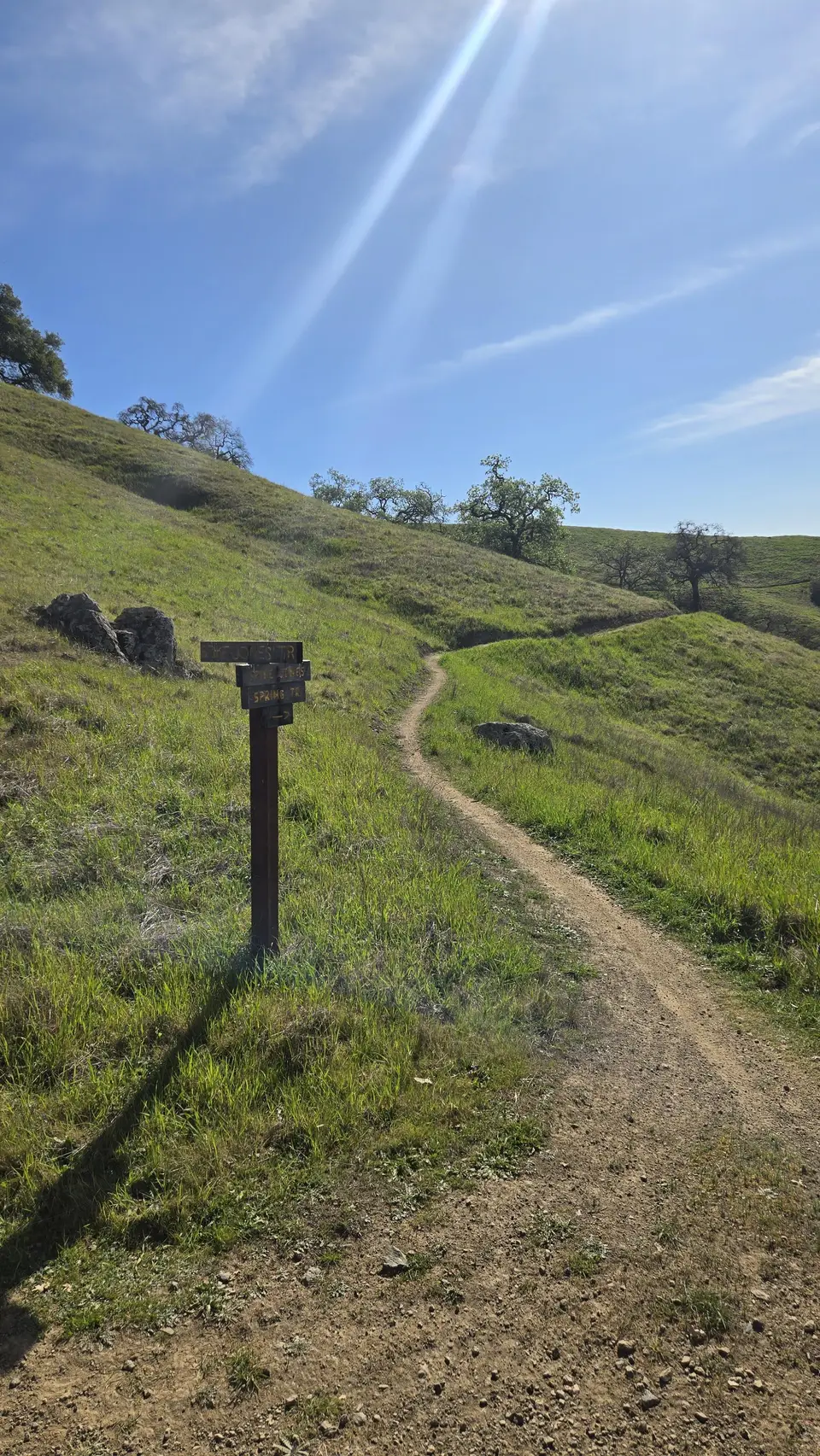 Spike Jones Trail