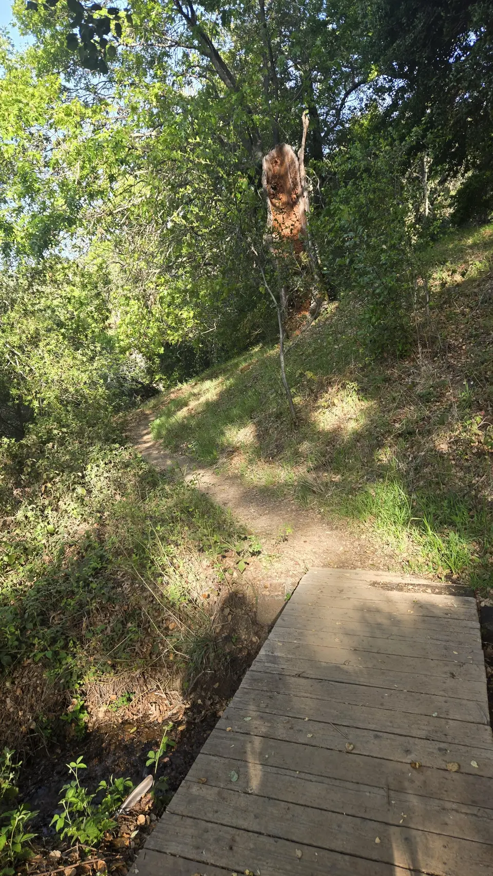Springs Trail