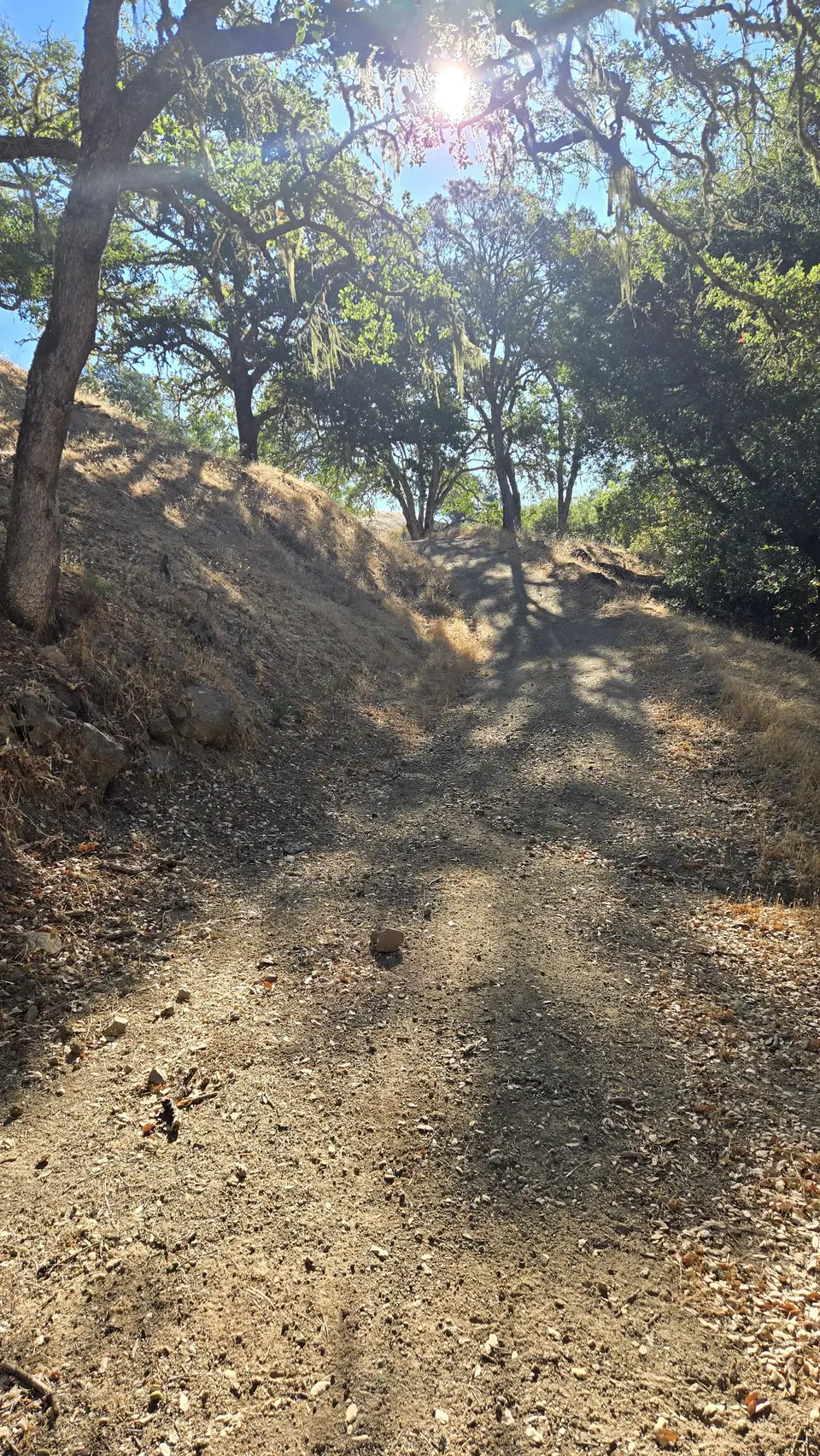 Vasquez Road