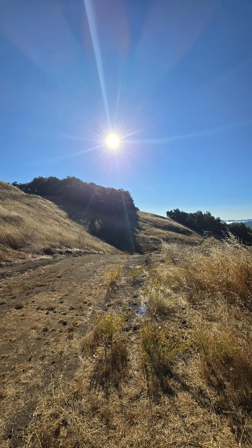 Vasquez Road