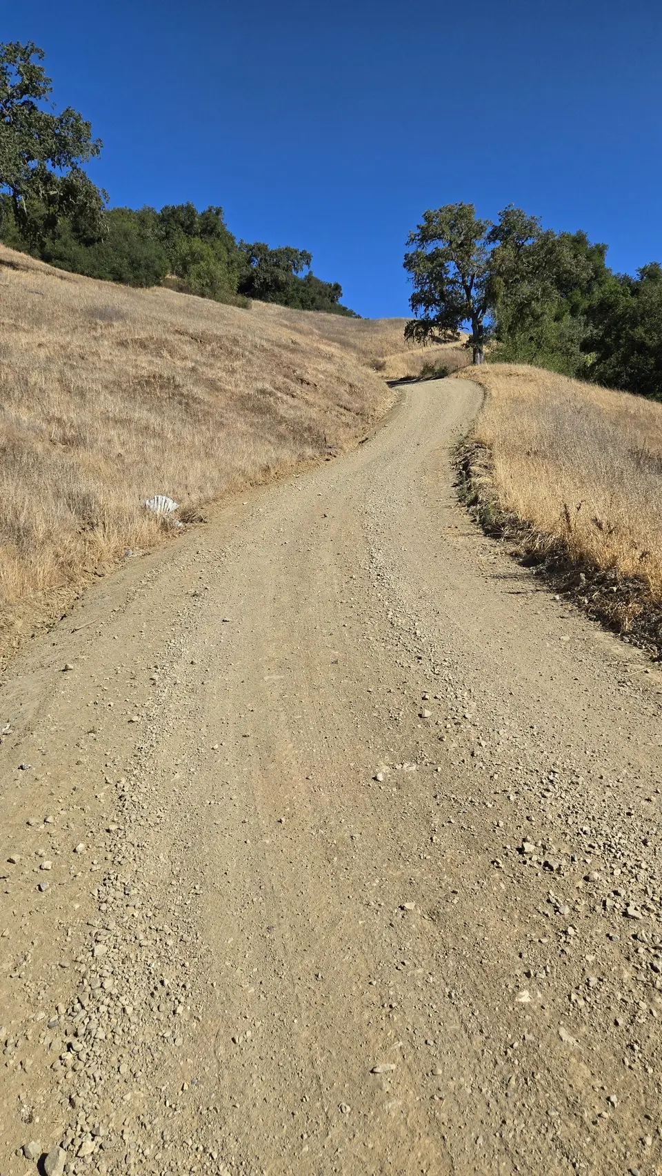 Wagon Road