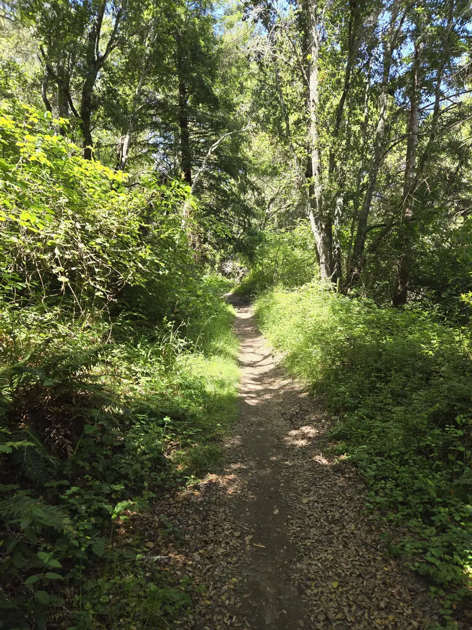 Wilder Ranch