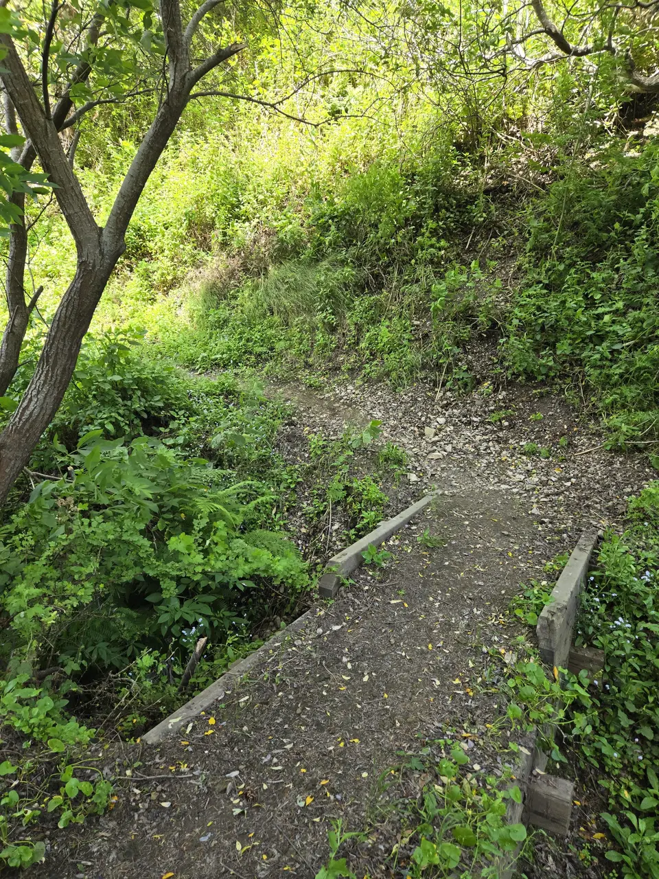 Wilder Ranch