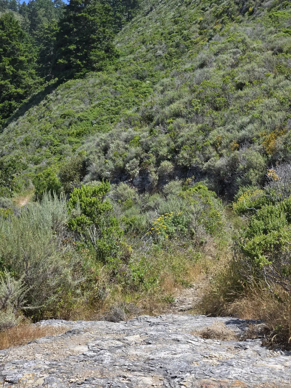 Wilder Ranch