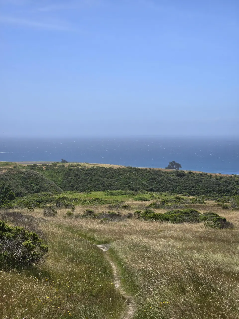 Wilder Ranch