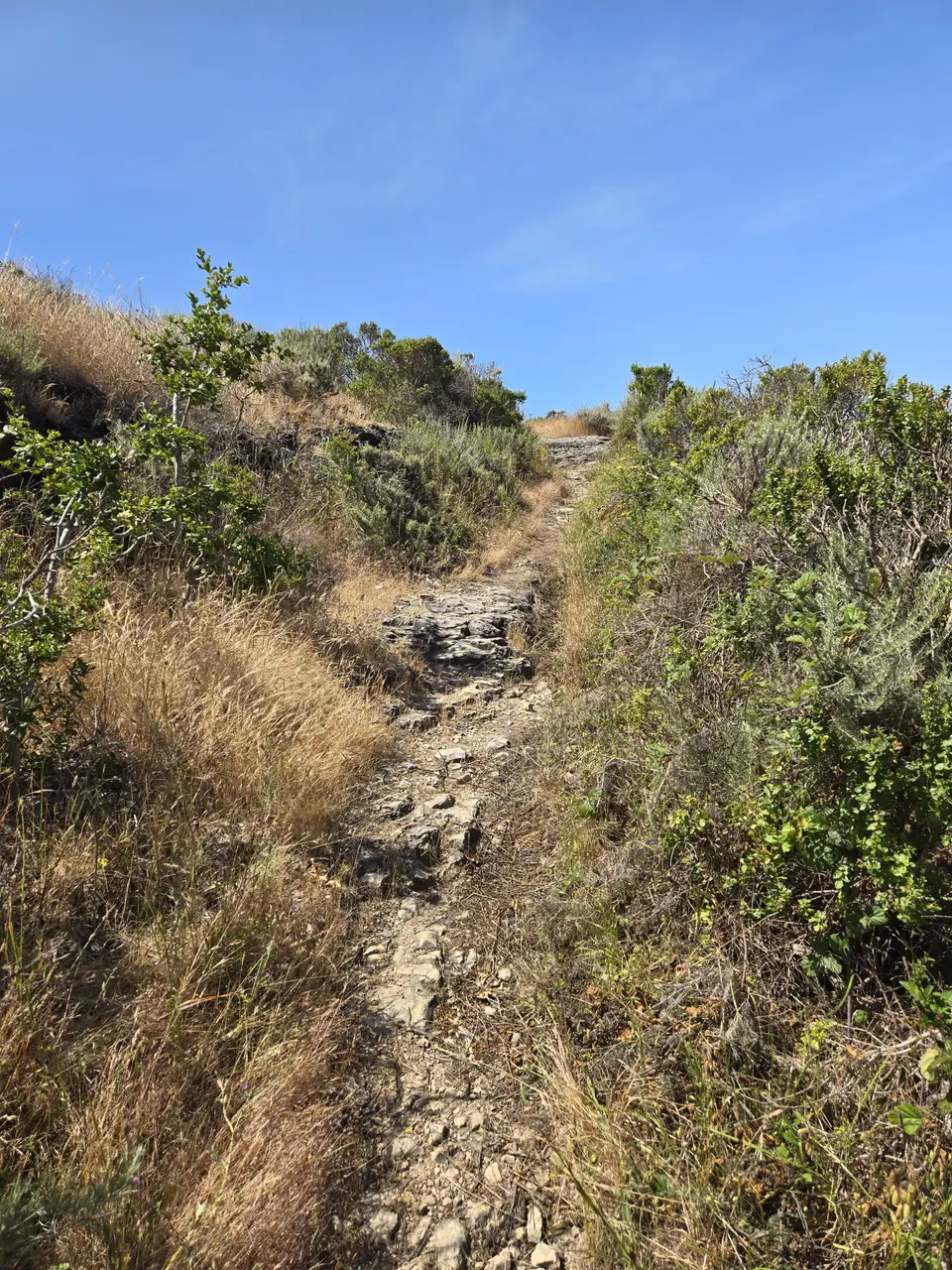 Wilder Ranch