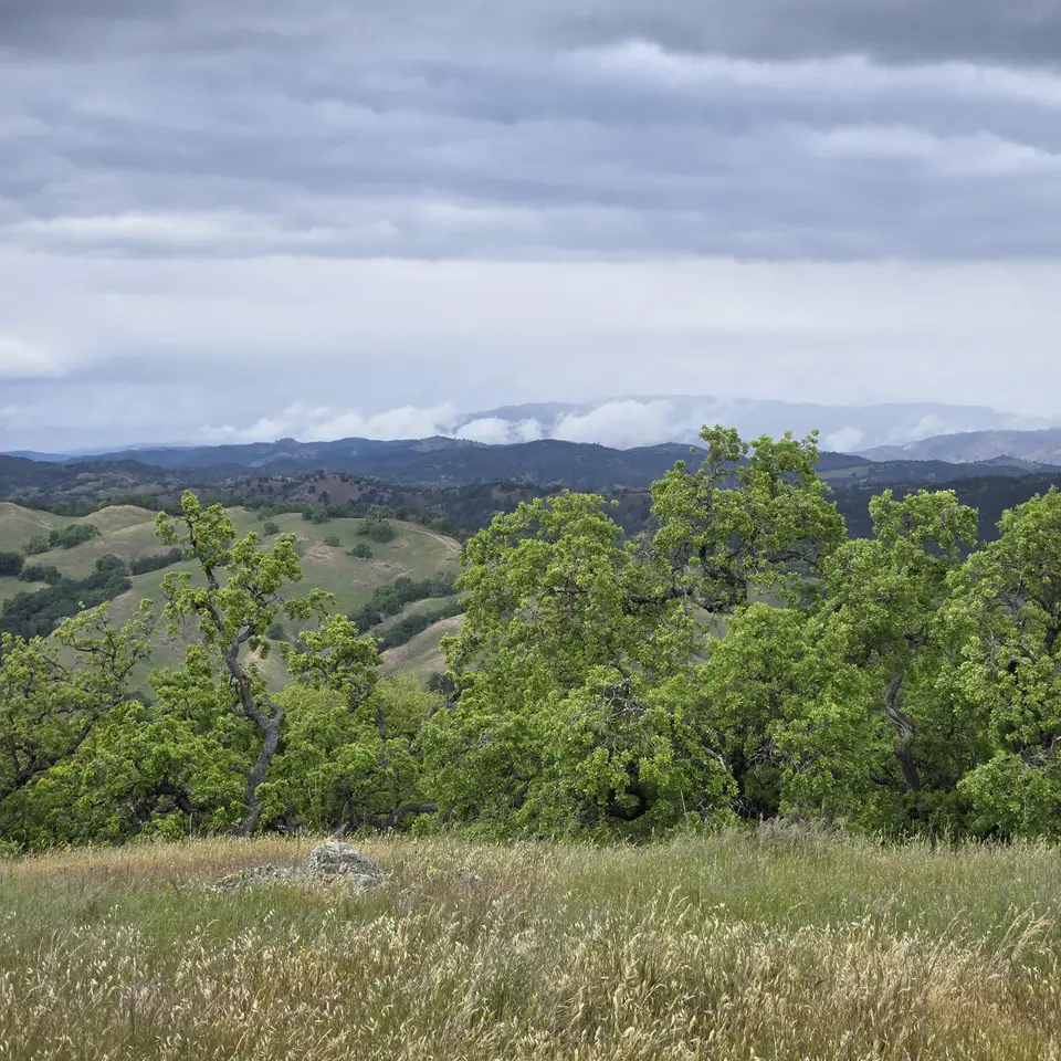 Wilson Peak